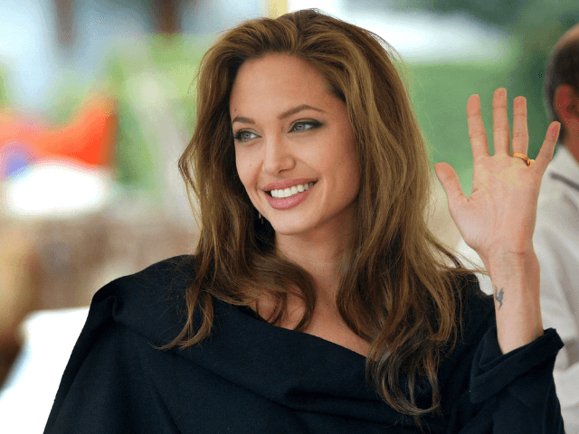 Angelina Jolie charity